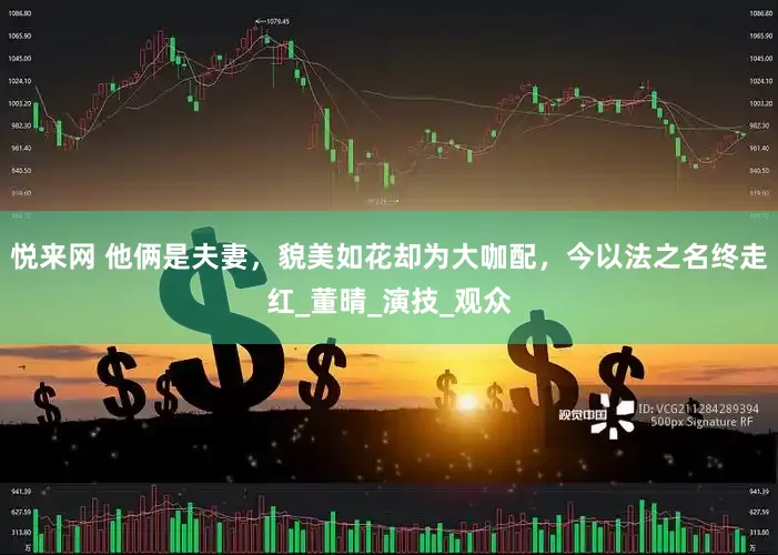 悦来网 他俩是夫妻，貌美如花却为大咖配，今以法之名终走红_董晴_演技_观众