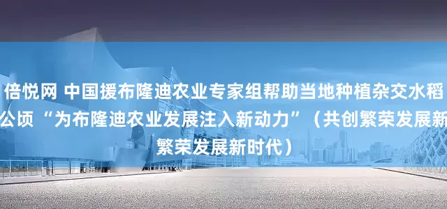 倍悦网 中国援布隆迪农业专家组帮助当地种植杂交水稻3800公顷 “为布隆迪农业发展注入新动力”（共创繁荣发展新时代）