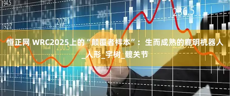 恒正网 WRC2025上的“颠覆者样本”：生而成熟的鹿明机器人_人形_宇树_髋关节