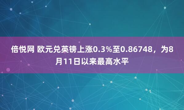 倍悦网 欧元兑英镑上涨0.3%至0.86748，为8月11日以来最高水平